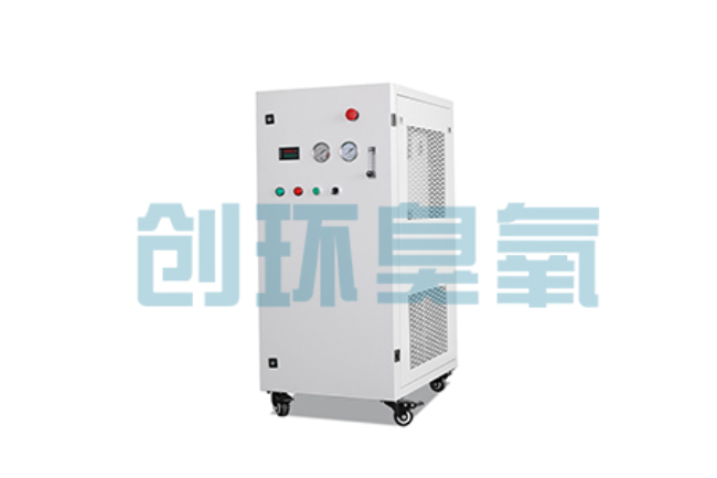 威海比传统换水更高效?臭氧发生器在石斑鱼养殖中的水质净化原理解析